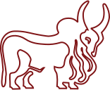 IndusInd Bank Logo